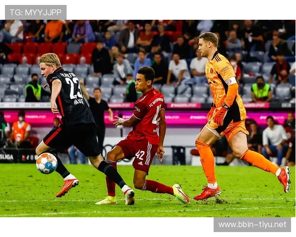 Z66体育全面解析最新赛事动态与明星运动员表现全纪录