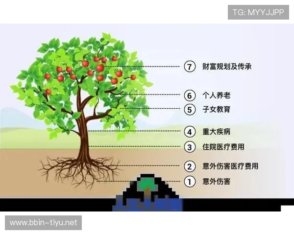 摇钱树下的财富密码与幸福人生智慧全解析